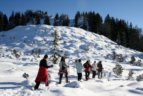 Aufstieg mit Schneeschuhen zum Thalerkogel