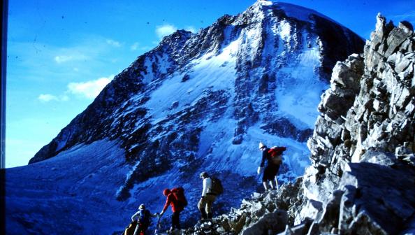 Abstieg von der Hochwilde gegen die Hohe Weiße, südlich der Ötztaler Alpen